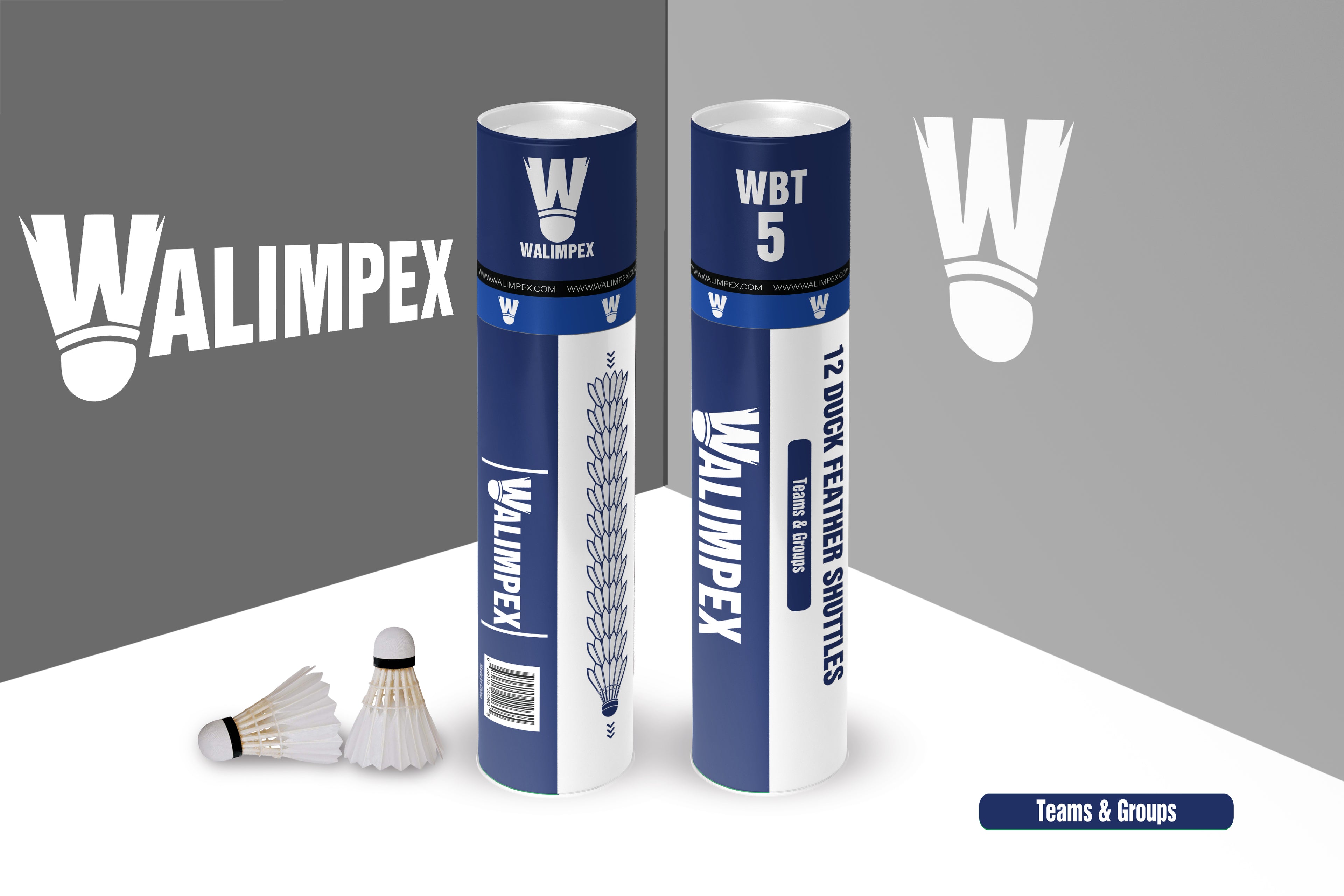 Walimpex WBT- 5: 12 Feather Badminton Shuttlecocks