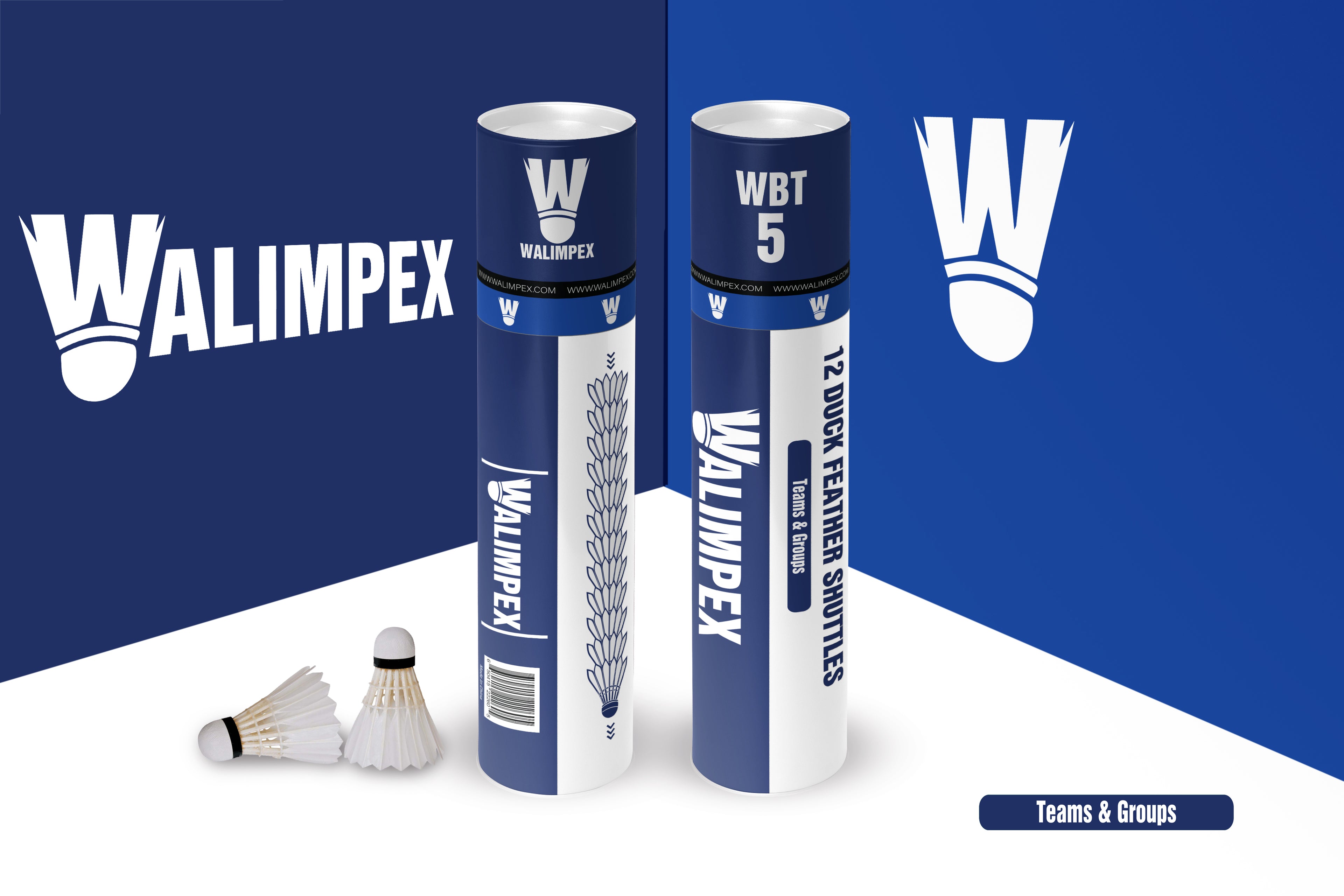 Walimpex WBT- 5: 12 Feather Badminton Shuttlecocks